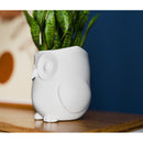 Vaso para Planta de Interior em Formato de Coruja